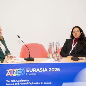 aaminex2005 (1 of 1)-115 aaminex2005 (1 of 1)-115