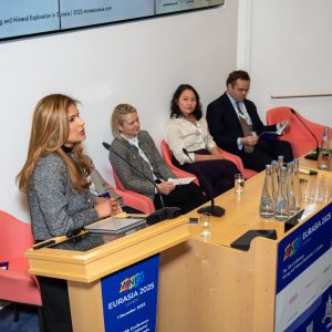 aaminex2005 (1 of 1)-19 aaminex2005 (1 of 1)-19